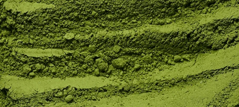 matcha powder up close